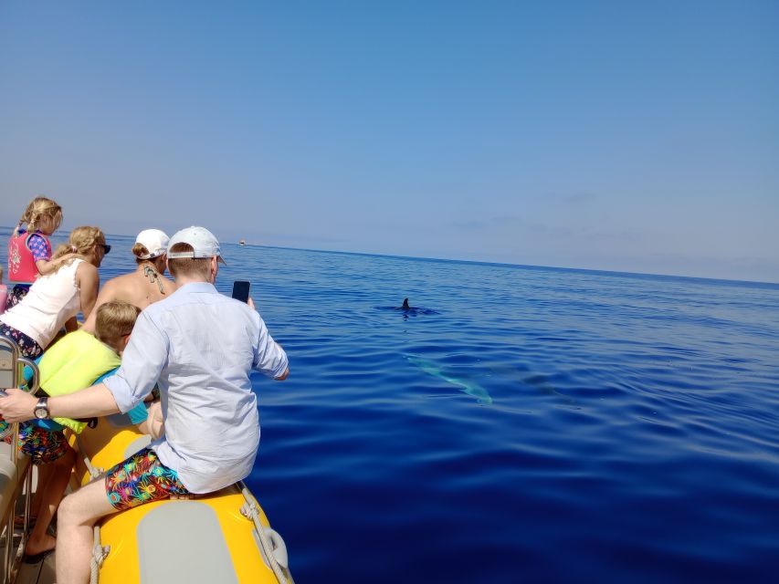 Can Picafort: Dolphin Watching Boat Tour, Swimming stop - Swimming and snorkeling in a quiet cove