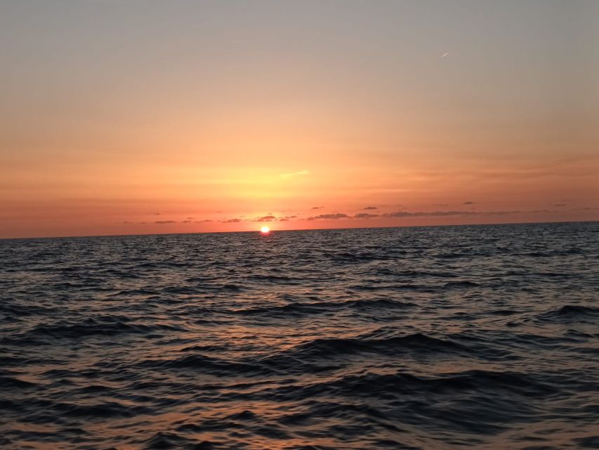 Can Picafort: Dolphin Watching Boat Tour, Swimming stop - What the $82 price buys you