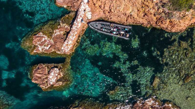 Cannes: Estérel Massif Boat Excursion - Port du Béal: finding the Black Tenders base