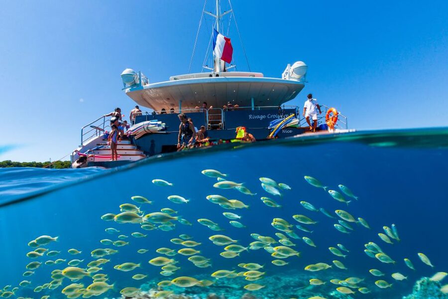 Cannes: Half-Day Catamaran Cruise - Swimming, Snorkeling, and Water Activities