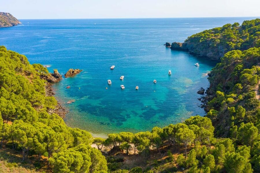 Cap Norfeu: Costa Brava Catamaran Trip with Underwater Views - What the Costa Brava looks like from the water