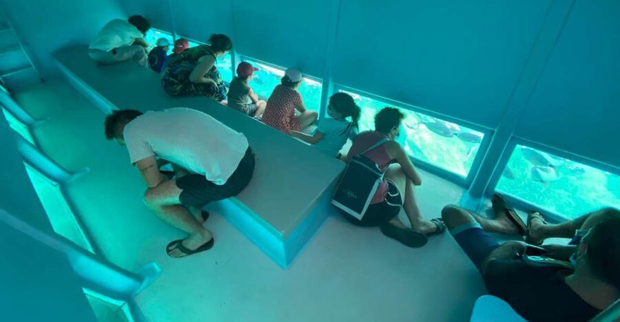 Cap Norfeu: Costa Brava Catamaran Trip with Underwater Views - The underwater viewing room at 6 to 8 meters