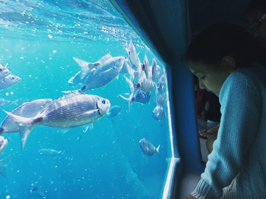 Cap Norfeu: Costa Brava Catamaran Trip with Underwater Views - Who will enjoy this catamaran trip