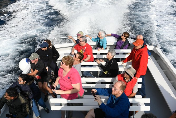 Capri Coast to Coast: Boat Tour with Optional Blue Grotto - How the price compares with the experience