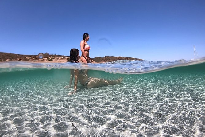 Catamaran excursions in the Asinara island National park - Key points to know before you book