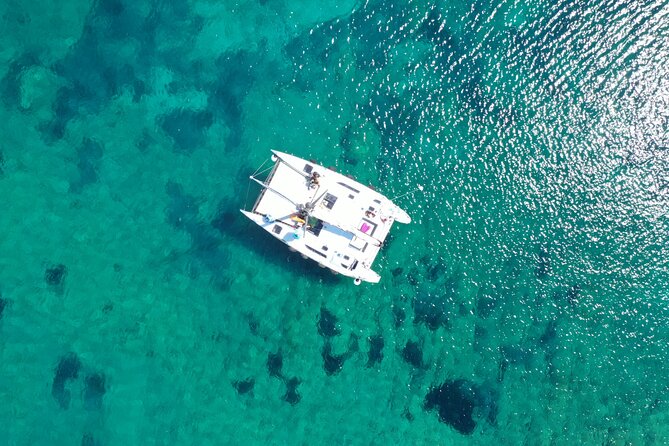 Catamaran excursions in the Asinara island National park - Why Asinara makes such a good boat day