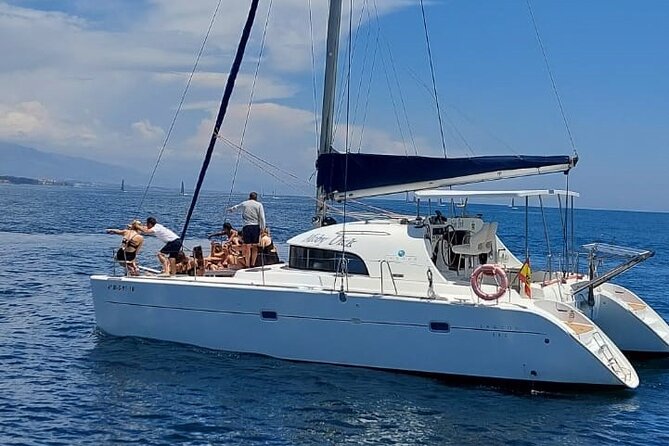 Dolphin trips on a catamaran - Key points to know before you book