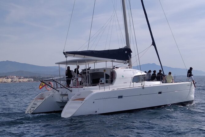 Dolphin trips on a catamaran - Is $42.33 good value?