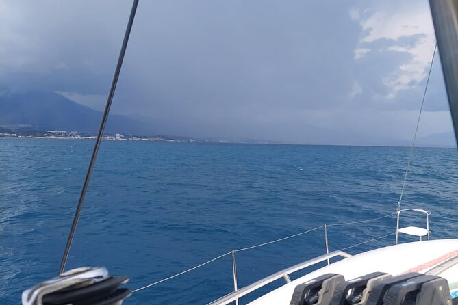 Dolphin trips on a catamaran - Who should book this catamaran trip?