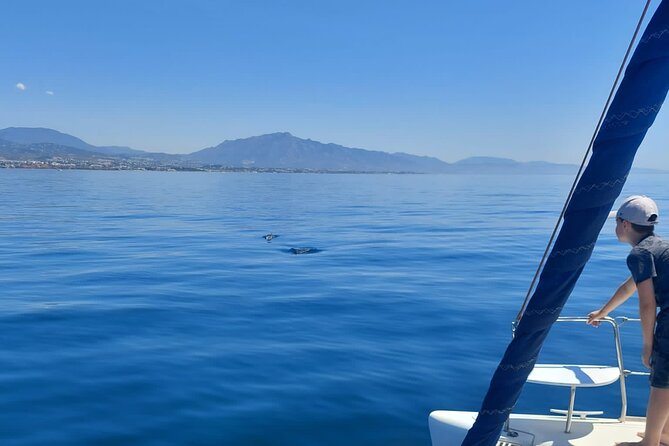 Dolphin trips on a catamaran - The Los Delfines route and dolphin search