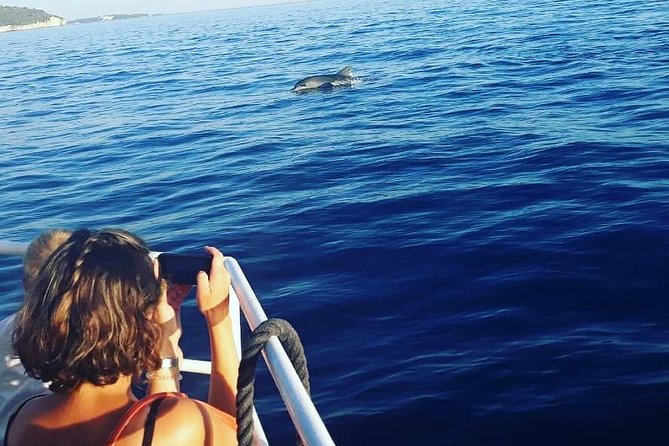 Dolphin Watching & Sunset Boat Tour With Dinner and Drinks - Dinner, unlimited drinks, and what to expect on the plate