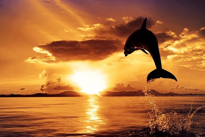 Dolphin Watching & Sunset Boat Tour With Dinner and Drinks - Pula Bay and its Austro-Hungarian forts