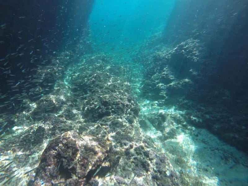 Dubrovnik: Blue Cave, Green Cave & Sunj Beach Speedboat Tour - One Hundred Minutes at Sunj Beach