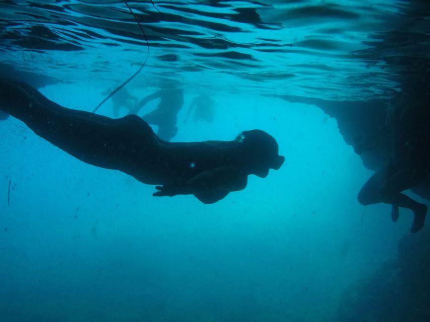 Dubrovnik: Blue Cave & Sunj Beach Boat Tour with Drinks - Key points to know before booking