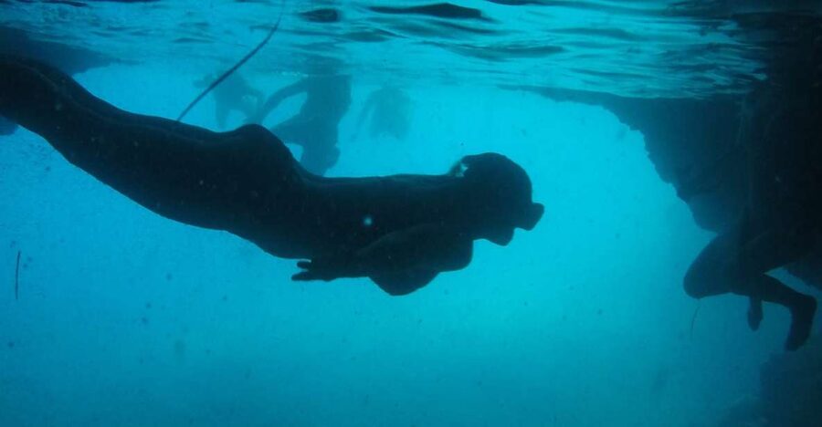 Dubrovnik: Blue Cave & Sunj Beach Boat Tour with Drinks - Swimming into Koločep’s Blue Cave