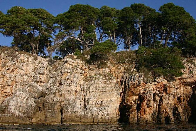 Dubrovnik Elafiti Islands Cruise with Lunch, Drinks and Pickup - The boat and crew shape the experience