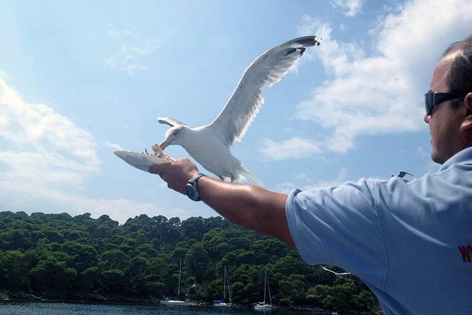 Dubrovnik Elafiti Islands Cruise with Lunch, Drinks and Pickup - Pickup is convenient, but confirm the details