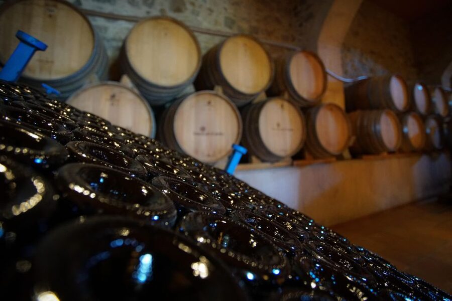 From Barcelona: Sailing and Wine Tasting Experience - Key points to know before booking
