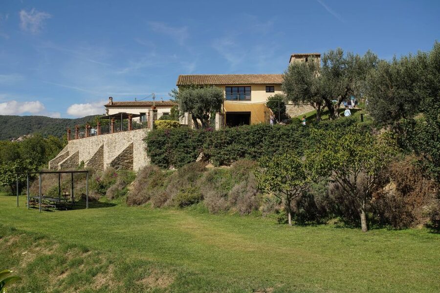 From Barcelona: Sailing and Wine Tasting Experience - Three Wines and a Small Food Pairing