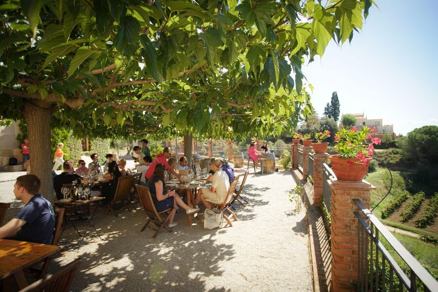 From Barcelona: Sailing and Wine Tasting Experience - Should You Book This Sailing and Wine Experience?