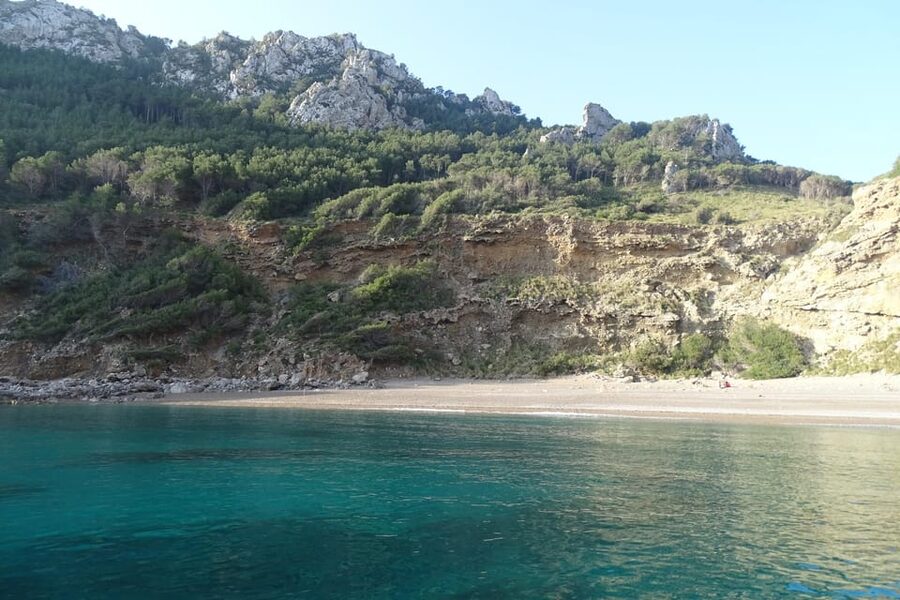 From Can Picafort: Dolphin Watching and Cave Boat Trip - Three hours from Can Picafort, with dolphins as the prize