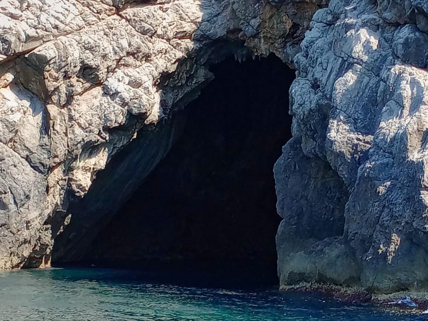 From Can Picafort: Dolphin Watching and Cave Boat Trip - Watching dolphins in their natural habitat