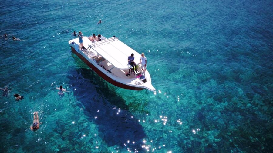 From Hvar: Vis Island and Blue Cave Speedboat Tour - The day at a glance