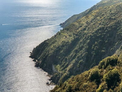 From La Spezia: Cinque Terre Boat Tour
