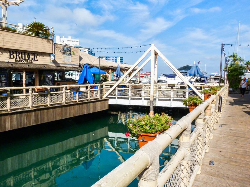 From Malaga: Day trip to Gibraltar and Dolphin Boat Tour - Should you book it?