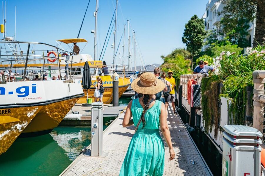 From Malaga: Day trip to Gibraltar and Dolphin Boat Tour - Why the timing can feel tight