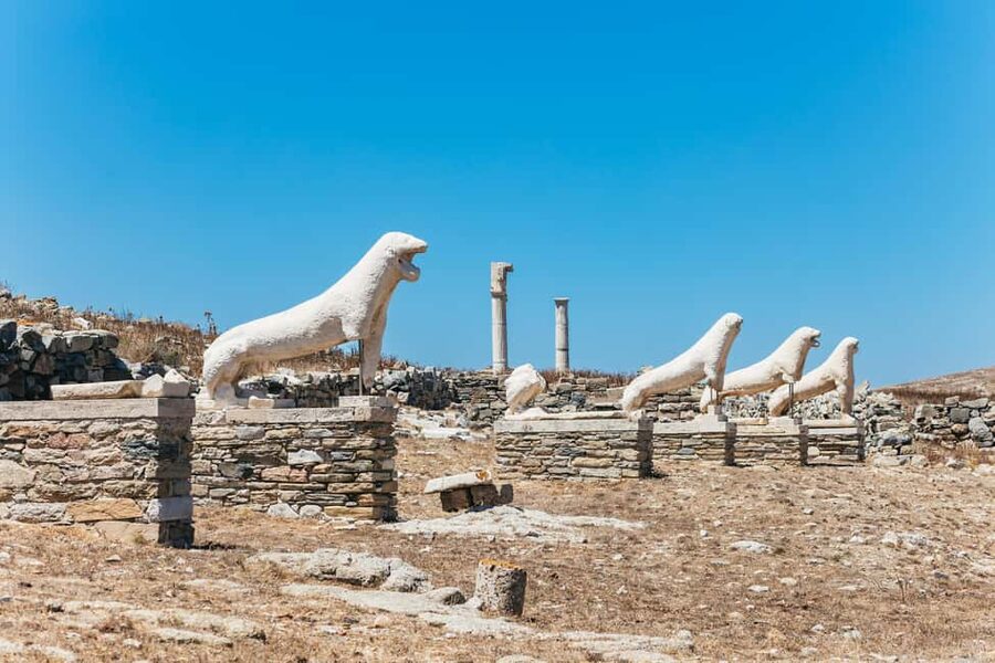 From Mykonos: Cruise to Delos and Rhenia with Lunch - Who Will Get the Most From This Day