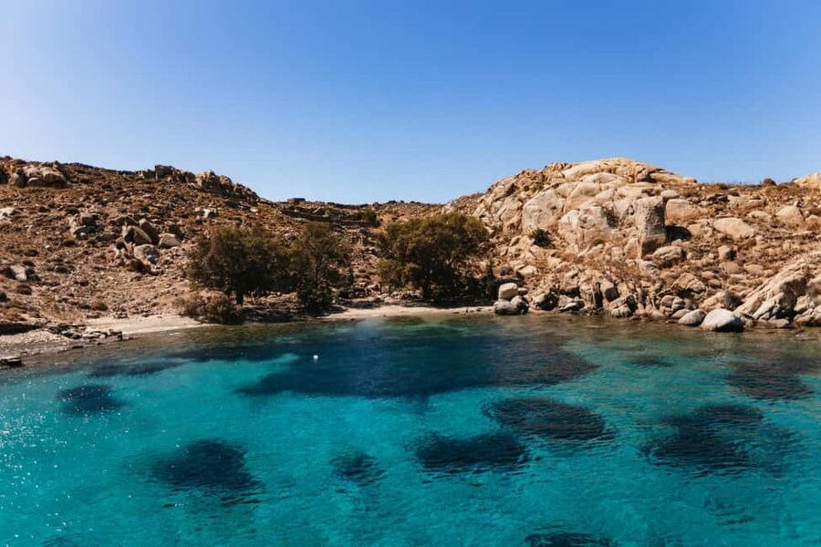 From Mykonos: Cruise to Delos and Rhenia with Lunch - Comfort, Crowds, and Sea Conditions