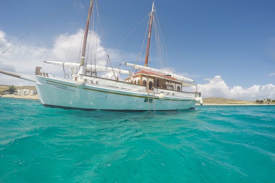 From Mykonos: Delos & Rhenia Islands Half-Day Trip by Boat - Key points to know before sailing