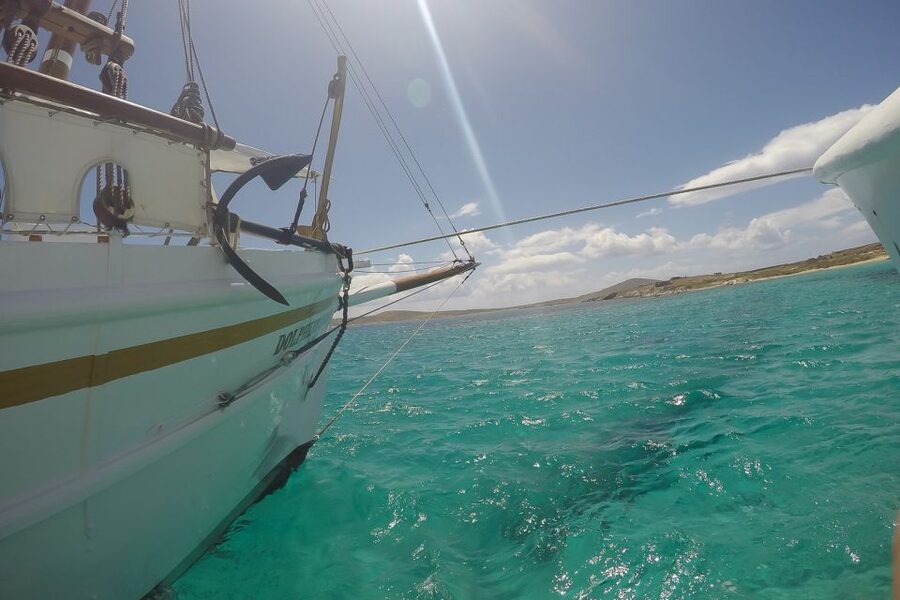 From Mykonos: Delos & Rhenia Islands Half-Day Trip by Boat - The choice at Delos is useful, not a small detail