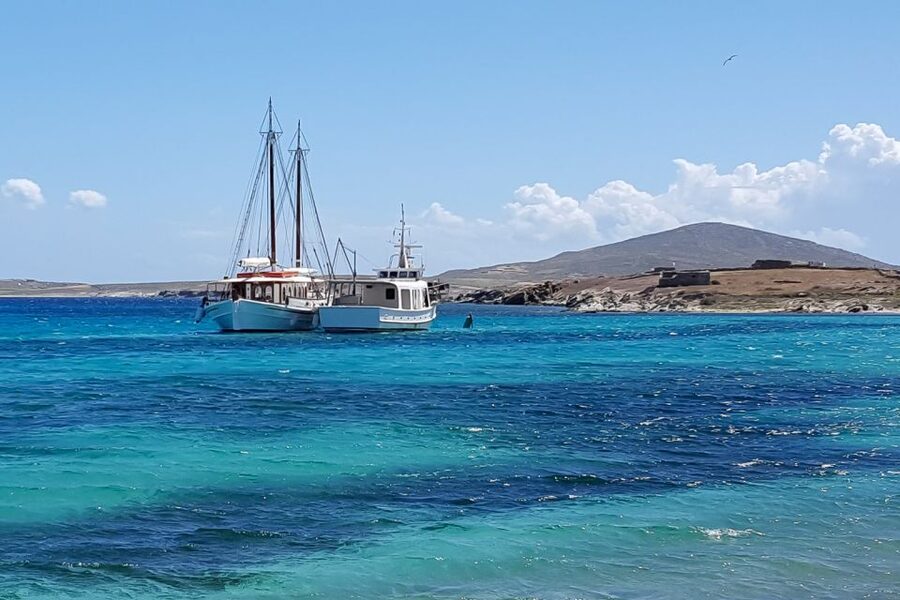 From Mykonos: Delos & Rhenia Islands Half-Day Trip by Boat - The ride back becomes the social highlight