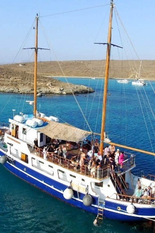 From Mykonos: Delos & Rhenia Islands Half-Day Trip by Boat - What the $101 price really includes