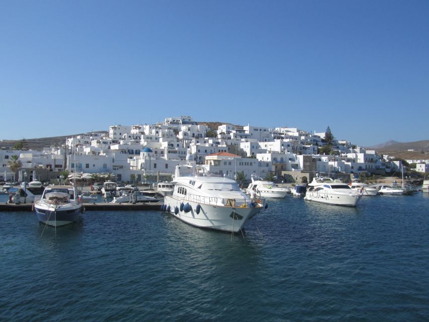 From Naxos: Delos and Mykonos Full-Day Boat Trip - What to pack for the ten-hour day