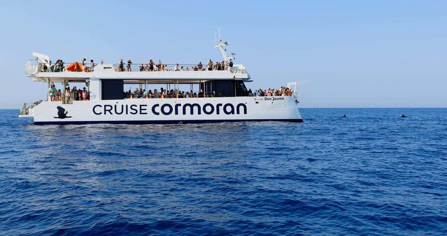 From Paguera: Dolphin Watching Cruise in a Glass-Bottom Boat - A boat day with food, sangria, and shade