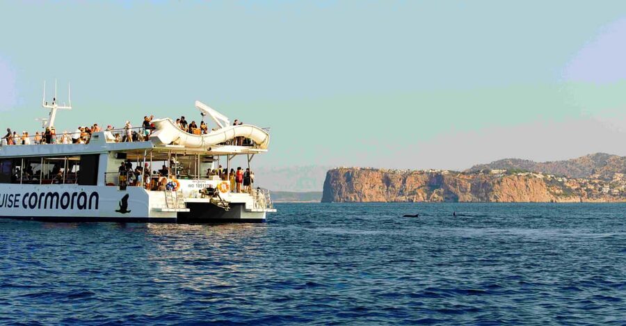 From Paguera: Dolphin Watching Cruise in a Glass-Bottom Boat - Who will enjoy this cruise most