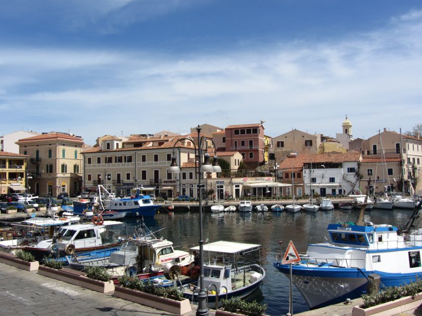 From Palau: La Maddalena Archipelago 4 Stops Boat Tour - Is $65 a fair price?