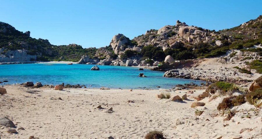 From Palau: La Maddalena Archipelago Boat Tour with Pasta - Key points to know before booking