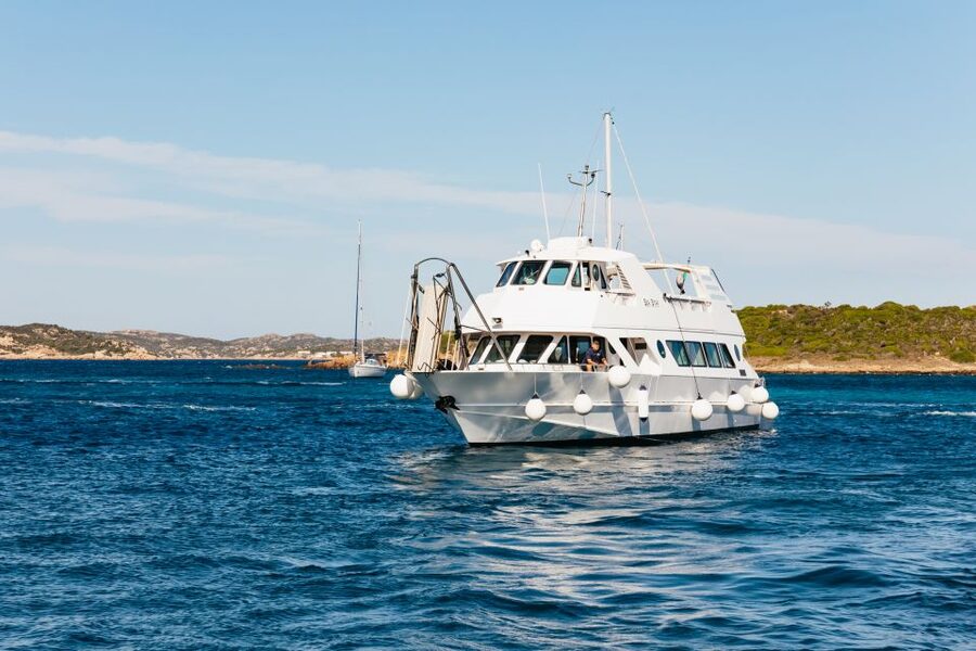 From Palau: La Maddalena Islands Full-Day Trip by Boat - La Maddalena town on the other schedule