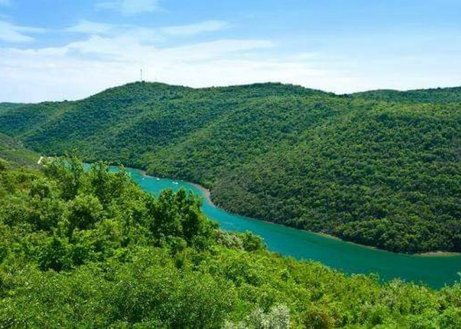 From Poreč: Lim Fjord, Rovinj, and Vrsar Boat Trip - Who will enjoy this day most
