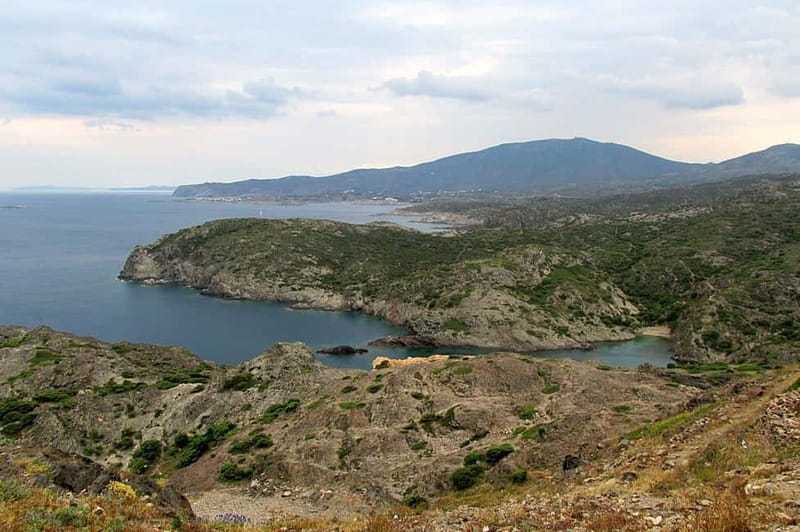 From Roses: Cap de Creus Natural Park and Cadaqués Boat Tour - Swimming at Sa Conca and the open sea