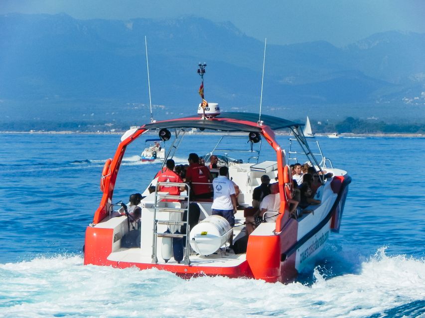 From Salou/Cambrils: Speedboat Tour - Quick points to know before you book