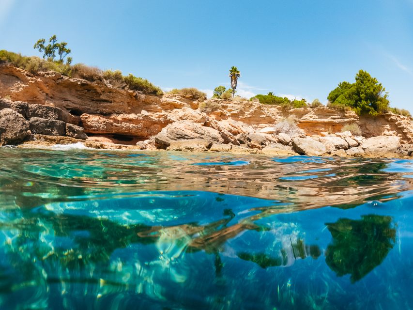 From Salou/Cambrils: Speedboat Tour - Salou or Cambrils: choosing your departure point