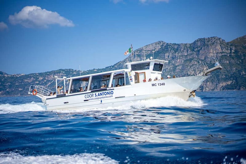 From Sorrento/Nerano: Amalfi and Positano Boat Tour - Key points to know before booking
