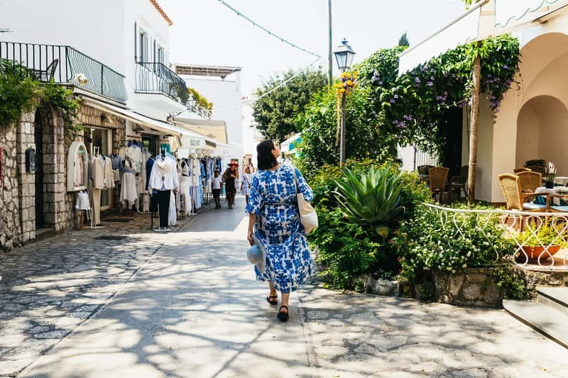 From Sorrento/Nerano: Capri Island Cruise with Guide Onboard - What the $77 price really covers