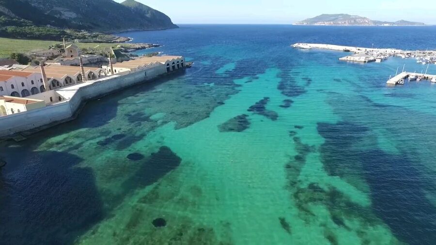 From Trapani: Day Cruise to Favignana & Levanzo with Lunch - Key points to know before booking