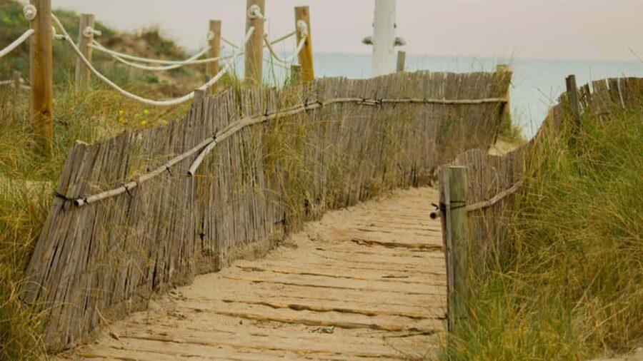 From Valencia: Albufera Natural Park Eco Boat Tour & Sunset - Why Albufera is worth leaving Valencia for